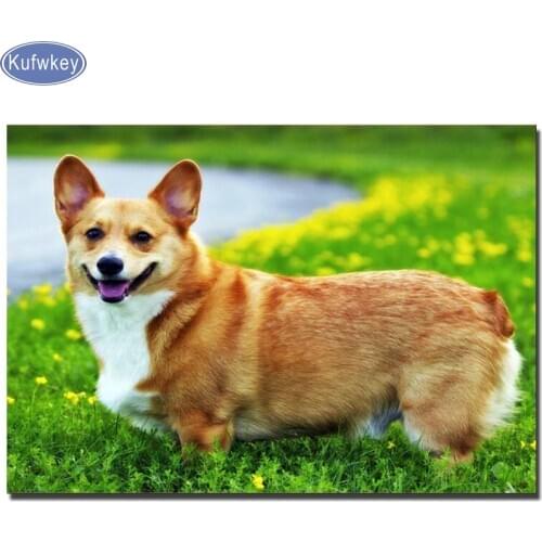 5d crystal diamond painting dog collie daimond embroidery painting Rhinestones 3d diy cross-stitch square full home decoration