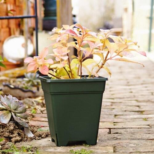 Пластиковые горшки XINCHEN China At AliExpress