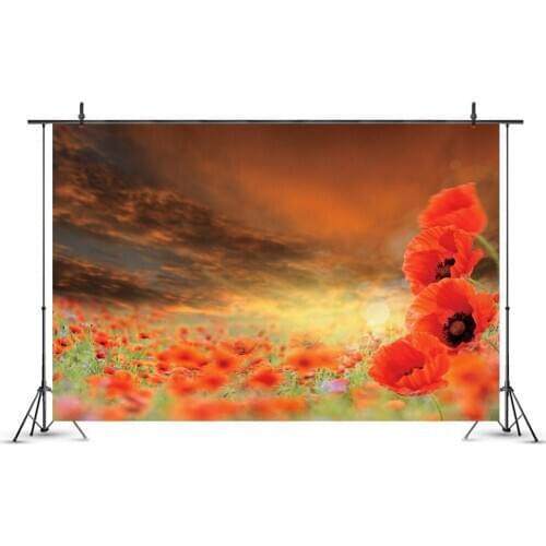Beautiful Red Flowers Sea Photography Background Photo Booth Studio Decor