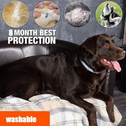 8 Month Flea & Tick Prevention Collar perro for Cats dog harness Mosquitoes Repellent Collar Insect Mosquitoes coleira