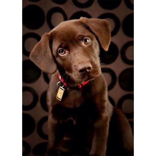 Diamond Animals Pretty Dogs Cross Stitch Resins Paste Paints Drill Pins Full Embroidery