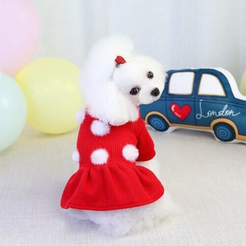 Cute new pet dog skirt Bomei bi bear wool skirt dog warm autumn and winter new clothes