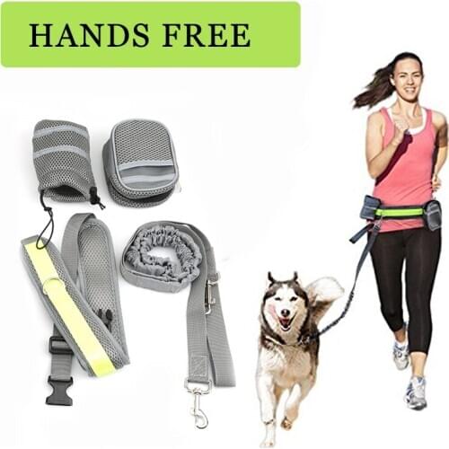 Free Dog Leash Collar Pet Elastic Belt Running Dog Leash Set Hands Pet accessories Puppy Dog Harness Leash For Animals