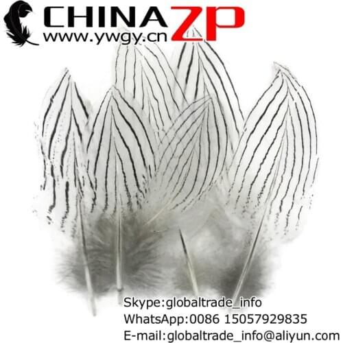 CHINAZP Factory 1000pcs/lot 8~10cm Length Cheap Wholesale Natural White Silver Pheasant Plumage Feathers