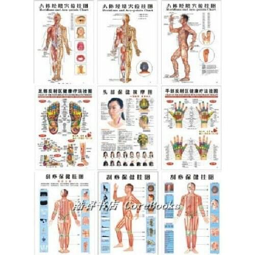 10 pcs Scrapping healthcare human acupuncture wall chart diagram foot hand head ear acupuncture meridian chart