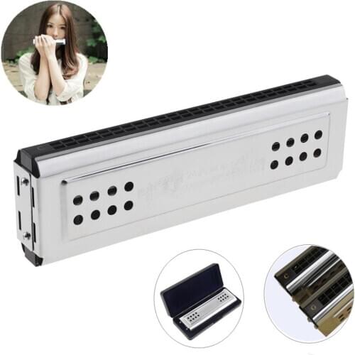 Professional 24 Holes Key Of C&G Silver Double Side Tremolo Harmonica for Adult Beginner and Children Woodwind Instruments
