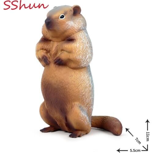 Simulation animal toy Chipmunk Groundhog Squirrel Mouse Childrens Cognitive Solid Plastic Animal Model Decoration