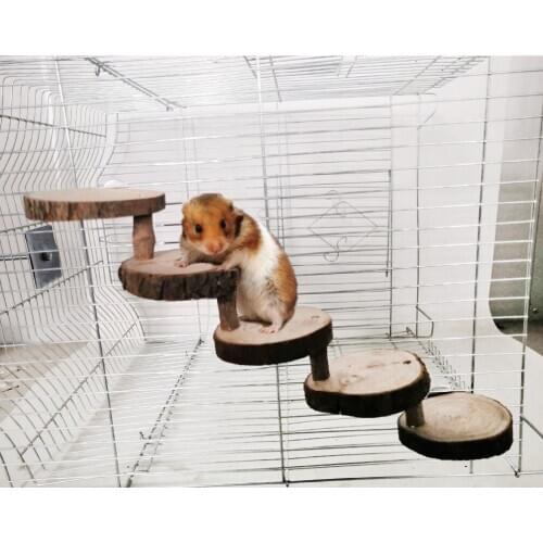 Parrot Bird Toy Hamster Wooden Ladder Golden Bear Wood Bite Toy Sugar Gliders Play Molar