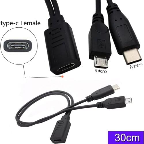 2 in 1 USB 3.1 Type C Charging Cable, USB 2.0 micro 5Pin to USB C Type C Male and Micro USB Male Charger Cable 0.25m