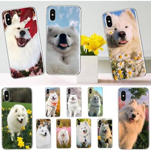 Cute animal Samoyed dog lovely Phone Case for iPhone 11 12 pro XS MAX 8 7 6 6S Plus X 5S SE 2020 XR