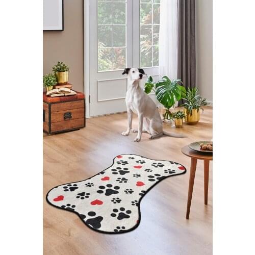  Clothes And Footwear For Dogs