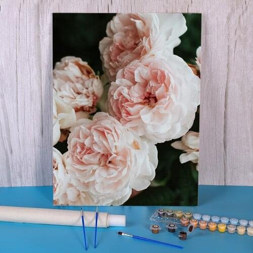 Flower Rose DIY Paint By Numbers Kit Acrylic Paints 40*50 Painting On Canvas New Design For Adults Wholesale