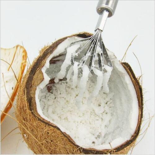 Coconut Planer Kitchen Stainless Steel Creative Shredded Coconut Scrape Coconut Meat Fish Scale Planer planer Tools accessories9