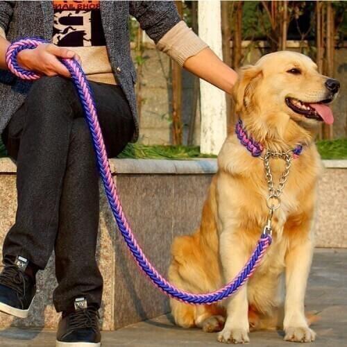QueviFree shipping New High Quality Upgraded color collar stereotyped rope Dog Leashes Pet Traction Rope Collar Set For Big Dog
