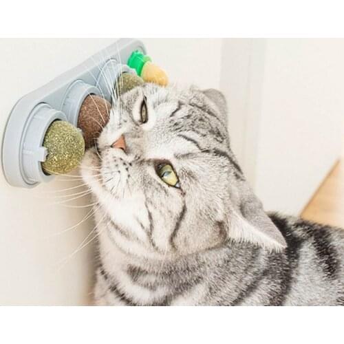 A Natural Catnip Toys For Cats Healthy Cat Toys Promote Gastric For Kitten Edible Treating Cleaning Teeth Cat Supplies