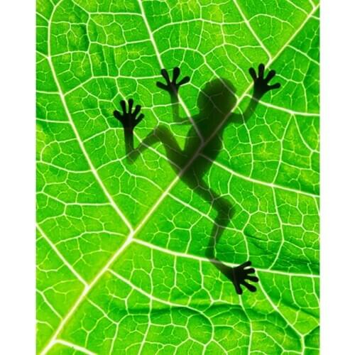 DIY Painting By Numbers Frog Shadow On The Leaf Kit Oil Picture By Numbers Wall Art Painting on Canvas Home Decoration Gift