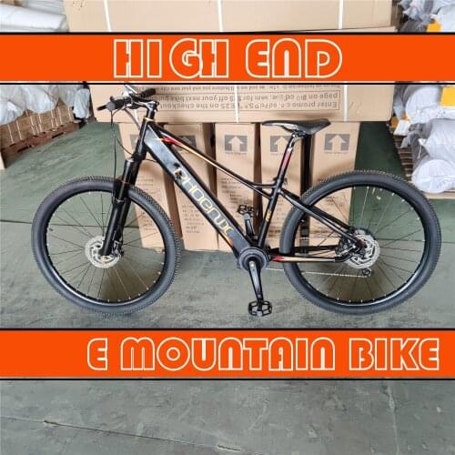 High Performance10 Speed E Mountain Bike E Mountain Bike BJORANGE LCD Display Mountain Electric Bicycle Air Shock Deore Phoenix