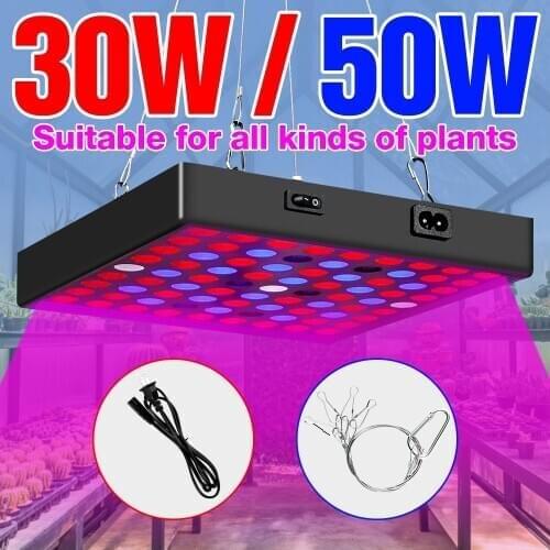 Grow Light LED 30W 50W Full Spectrum EU US UK Plug Phyto Lamp Fitolampe For Hydroponics Flower Seed Cultivo Green House Plants