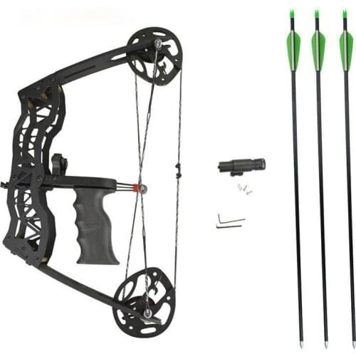 40 Pounds With Arrow Sight Archery Compound Bow Compound Pulley Bow And Arrow Outdoor Hunting Fish Archery