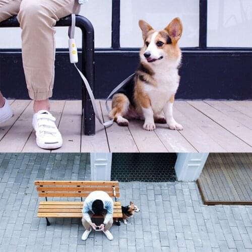 Anti-lost Dog Leash Adjustable Puppy Walking Traction Rope Pet Training Leashes Perros Accessories