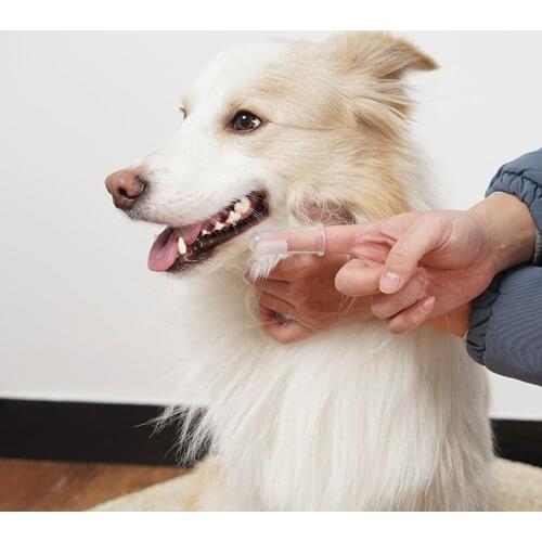 Pet finger toothbrush silicone toothbrush brush puppy kitten refers to the set of finger toothbrush