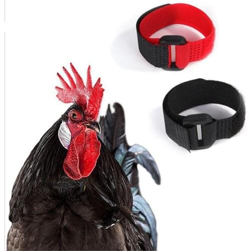 60packs/lot Chicken Collar Anti Crowing Black and Red color Pet Products 2pcs per set Factory Wholesale