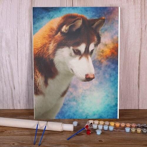 Animal Dog Husky Painting By Numbers Set Acrylic Paints 40*50 Oil Painting Decoration For Adults Art