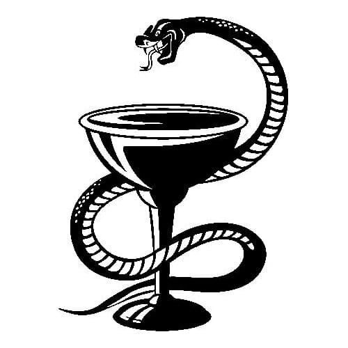 11.4CM*15.6CM Delicate Cobra Snake And Cup Beautiful Artistic Cool Vinyl Decal Car Sticker Black/Silver C19-1100