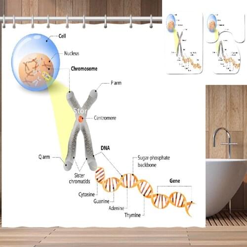 Waterproof Mildewproof Wash with Hook Shower Curtain Floor Mat Toilet Mat with Glasses Dog Leaf Print Home Bathroom Decor