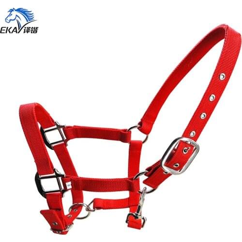 Free shipping PP webbing horse halter,silver color metal fittings.6MM thick webbing(BLT2004)