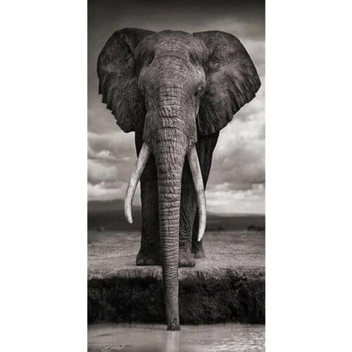 5D DIY Diamond Painting Animal Elephant Cross Stitch Kit Full Drill Square Embroidery Mosaic Art Picture of Rhinestones Decor