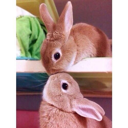 Diamond Embroidery Two Rabbits Handicrafts Embroidery Kits Diy 5D Diamond Painting Embroidery Diamond Wall Arts Decor