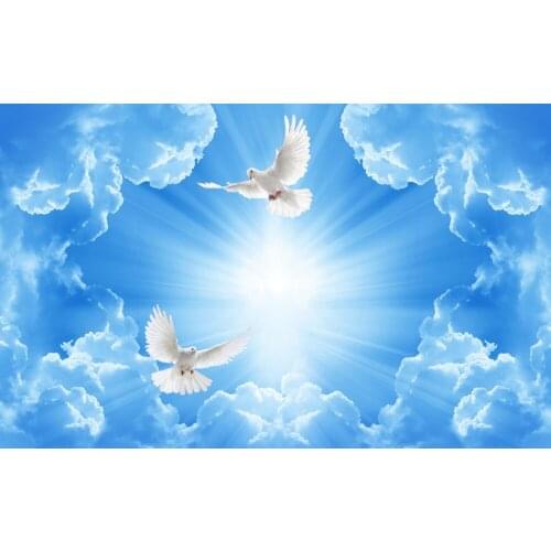 3D curtain Sunny white pigeon curtains for living room curtains for bedroom custom Any size window luxury curtains