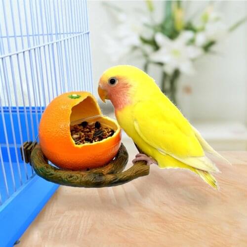 Lovely Parrot Feeder Bird Parrot Food Water Bowl Feeder Anti-spatter Durable Plastic Bird Food Supplies Feeding Holder
