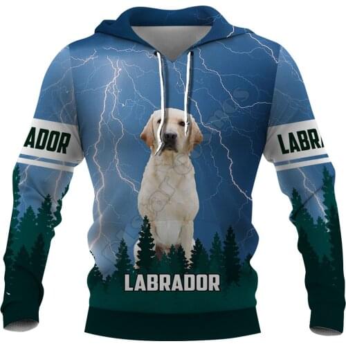 Lightning Labrador 3D Hoodies Printed Pullover Men For Women Funny Animal Sweatshirts Fashion Cosplay Apparel Sweater 01