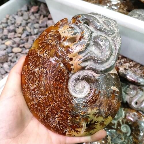 10cm Big size RARE Iridescent AMMONITE AMMOLITE SHELL GEM FOSSIL SPECIMEN HEALING gifts carving