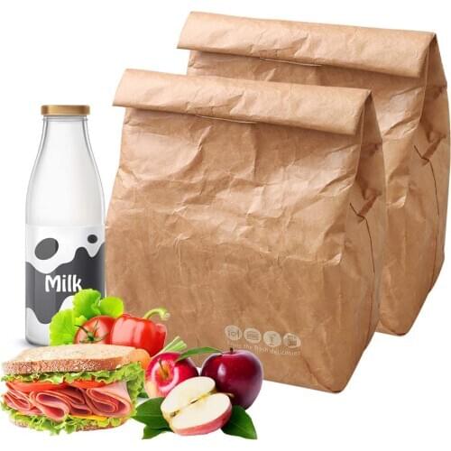 Reusable Paper Lunch Bag Insulated Lunch Snacks for Men Women Eco Friendly Lunch Bags for Work School College Picnic