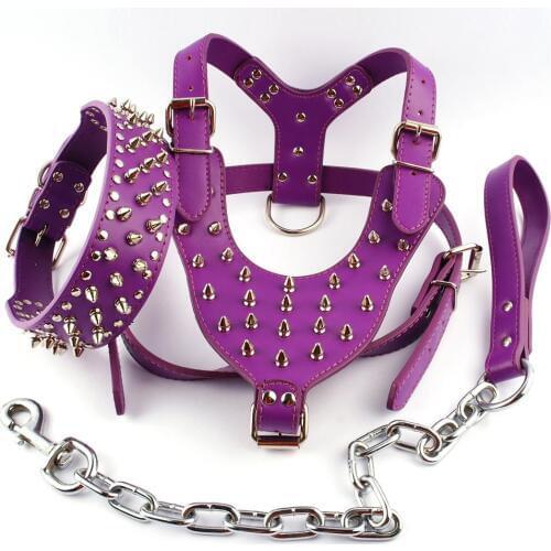 Purple Spiked Studded Leather Dog Harness Collar and Leash Set For Meduim Large Breeds Pitbull