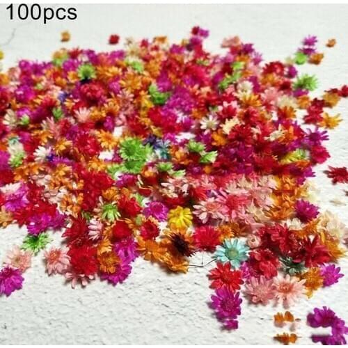 100Pcs Dried Flower Head Multicolor Artificial Flower Head For Crown Wedding Garland Decoration Handmade DIY Scrapbooking Craft