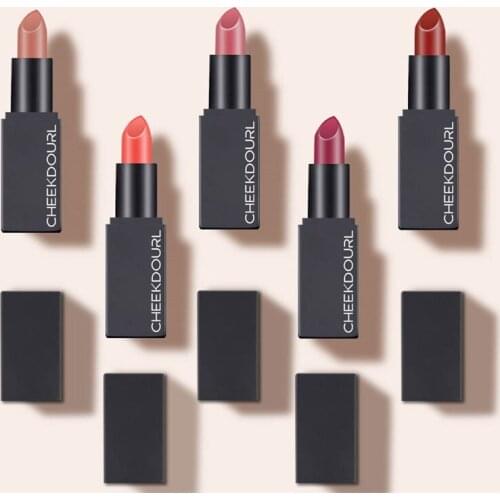 Matte Lipstick Waterproof Lip Makeup 5 Colors Long Lasting Moisturizer Lip Tint Korean Black Velvet Nude Matte Lipstick