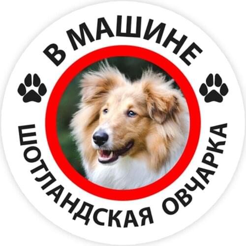 B0226 13CM 17 CM Self-adhesive Decal Collie in the Car Car Sticker Waterproof Auto Decors on Bumper Rear Window