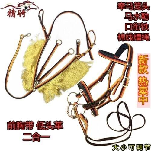 Horses And Equipment Nylon Line Board Chest Down Leather Chest Fine Equestrian Riding Bowed Their Horse Headstall
