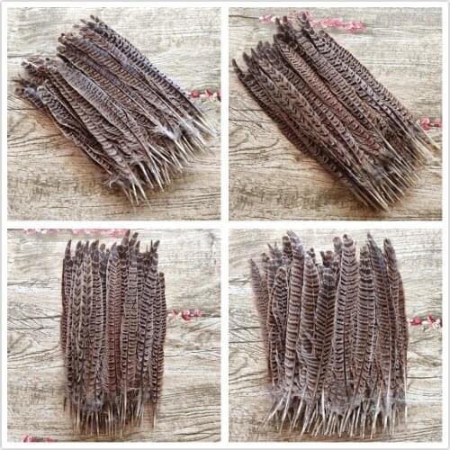 Wholesale 100pcs Beautiful Natural Pheasant Feathers 10-35 cm/4-14 inch DIY Jewelry Wedding decoration