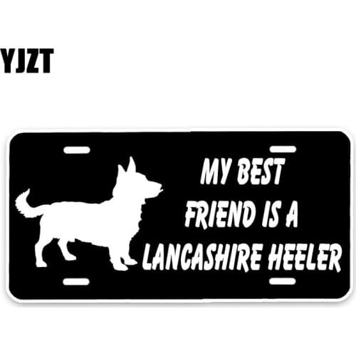 YJZT 15*7.3CM My Best Friend Is A Lancashire Heeler Dog Creative Fashion PVC Material Car Sticker C1-4670