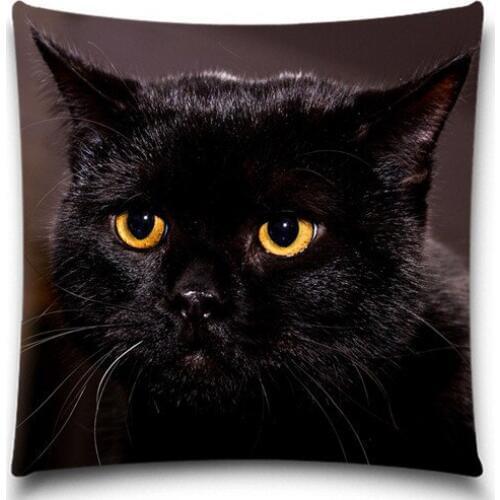 Black Cat New Arrival Gift Cute Pattern Polyester Cotton Square Pillow Cases Home Hotel Office Pillow Cover