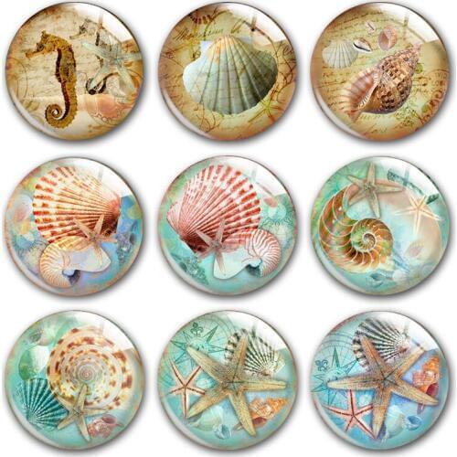 Ocean life glass cabochon, starfish seashell hippocampus shell sealife Round photo glass cabochon demo flat back Making findings