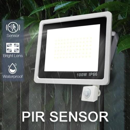 LED Floodlight PIR Motion Sensor 220V 10W 20W 30W 50W 100W Cold Warm White Reflector Waterproof IP66 Outdoor Induction Lighting