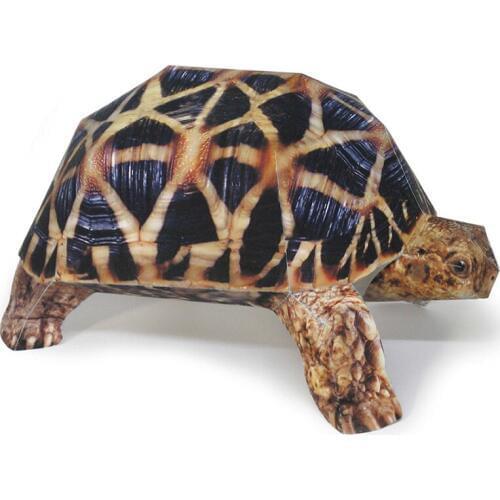 Indian Star Tortoise Paper Model Realistic Animal Mini Fold Cute Card 3D Papercraft DIY Kids Adult Handmade Craft Toys WE-053