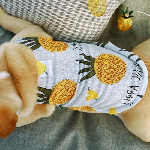 Pet Dog Cat Spring Summer Costume Cool Breathable Pineapple cactus Sleeveless Sling Vest For Dogs Product