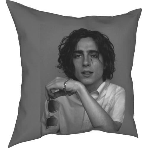 Timothee Chalamet Pillows Sofa Beautiful boy Timmy Elio CMBYN Few women Pillows Cover Nice throw Pillows Case 40*40cm